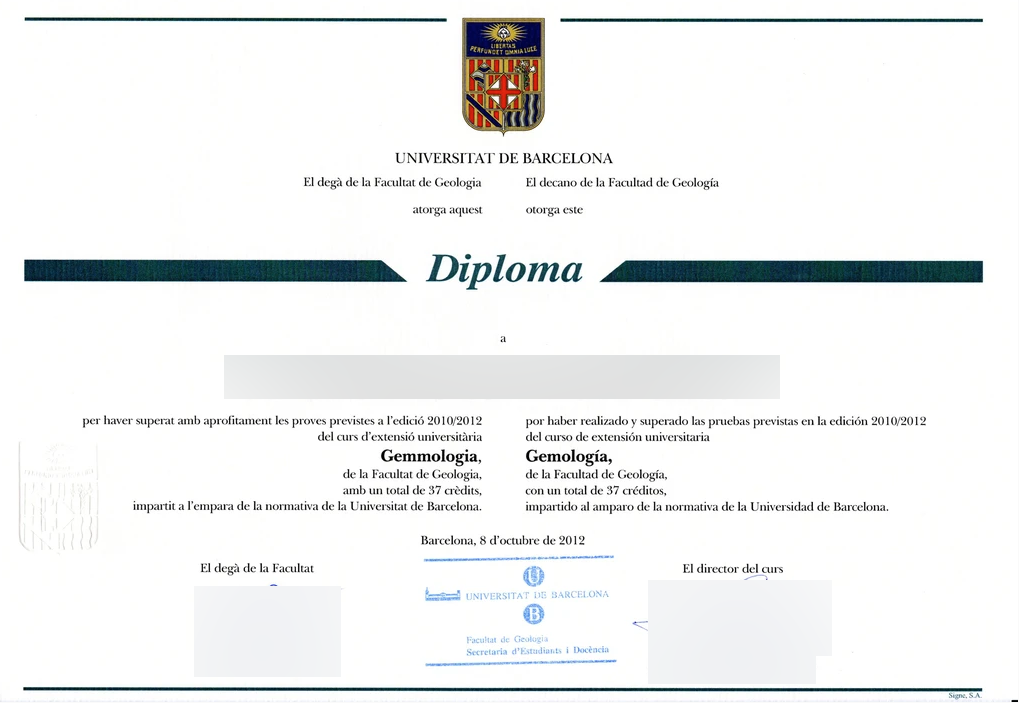 Bachelors degree in spanish